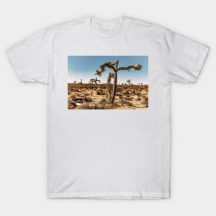 Joshua Tree National Park, California T-Shirt